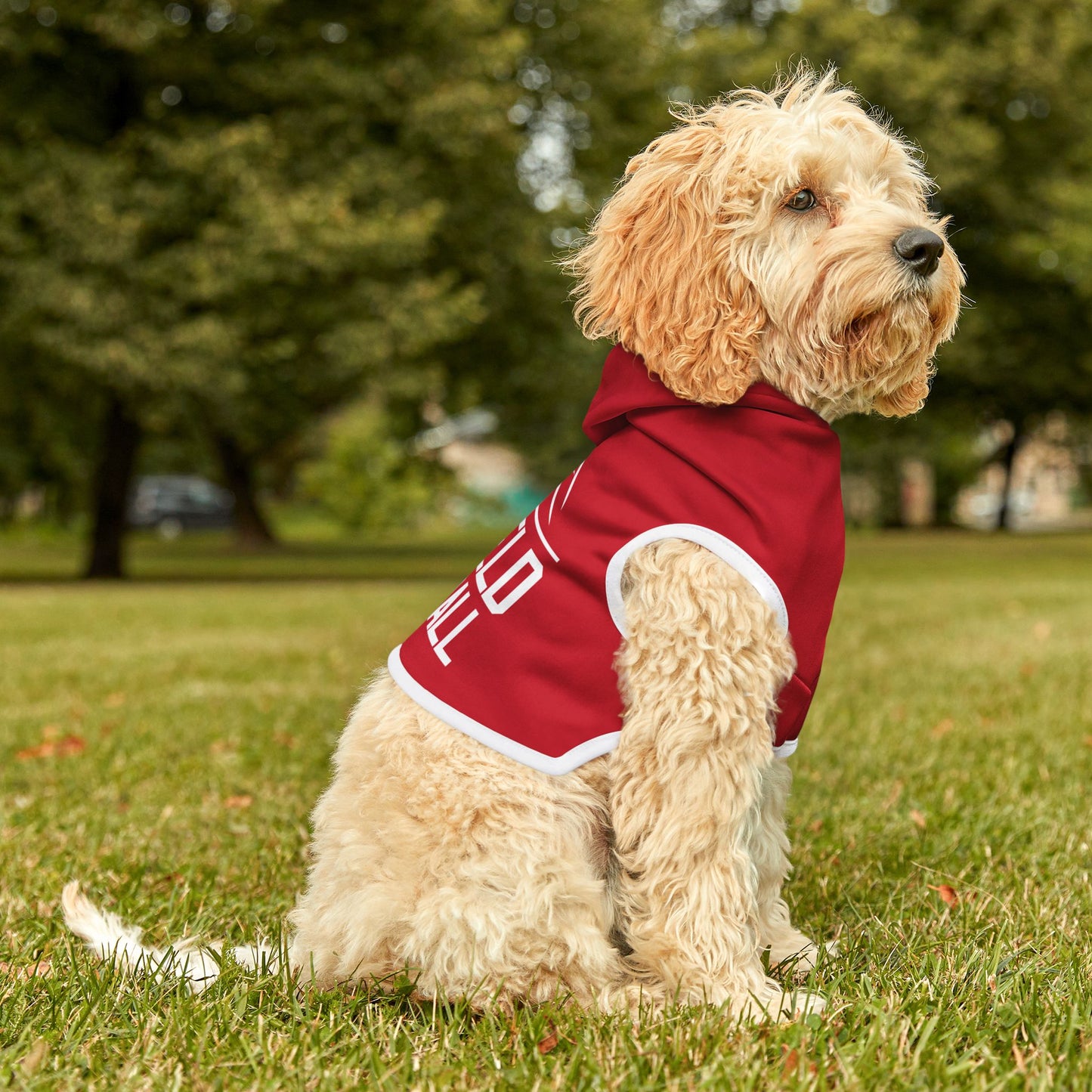 Pet Hoodie